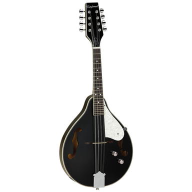 Union Series Mandolin Black With Pickup-Buzz Music