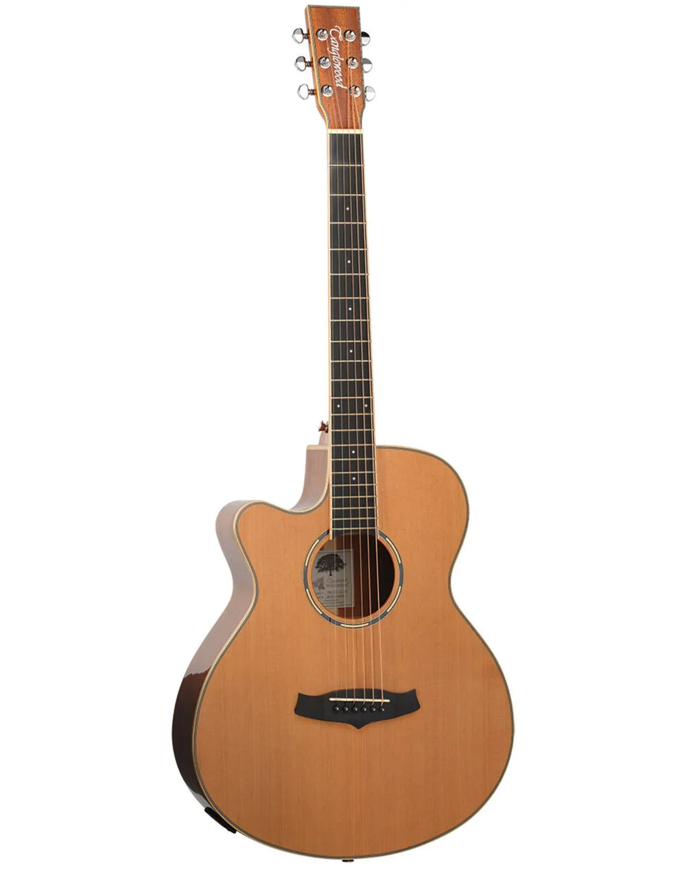 Tanglewood Winterleaf Pro Super Folk Cutaway Electric Acoustic Gloss Finish Guitar-Buzz Music