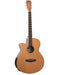Tanglewood Winterleaf Pro Super Folk Cutaway Electric Acoustic Gloss Finish Guitar-Buzz Music