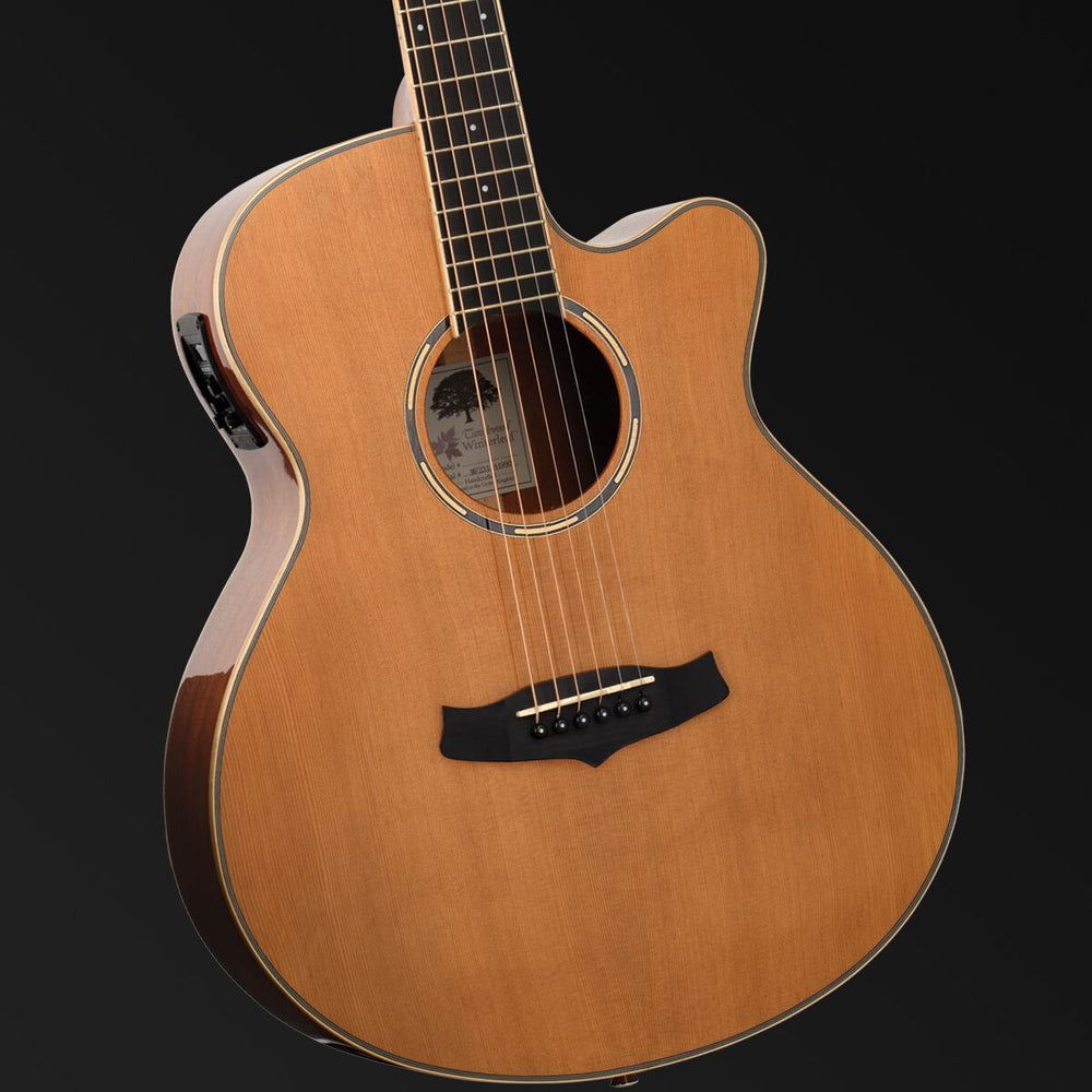 Tanglewood Winterleaf Pro Super Folk Cutaway Electric Acoustic Gloss Finish Guitar-Buzz Music