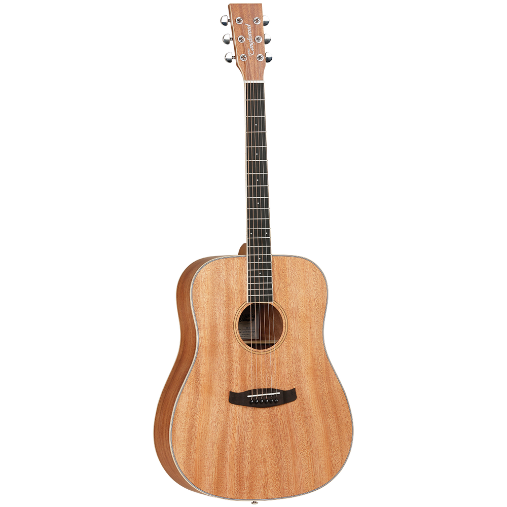 Tanglewood TWUD Union Dreadnought Solid Top Acoustic-Buzz Music