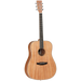 Tanglewood TWUD Union Dreadnought Solid Top Acoustic-Buzz Music
