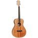 Tanglewood TWUPE Union Solid Top Parlour A/E-Buzz Music