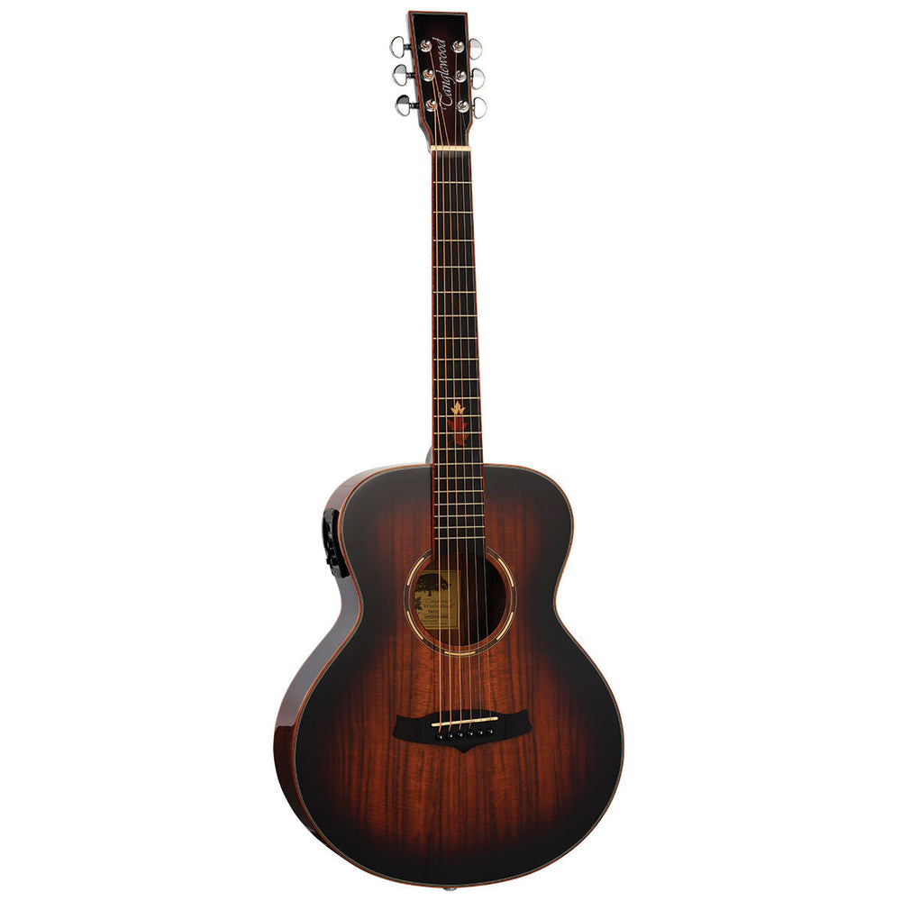 Tanglewood Winterleaf Pro Exotic Mini AcoustiCutaway Electriclectric Koa-Buzz Music