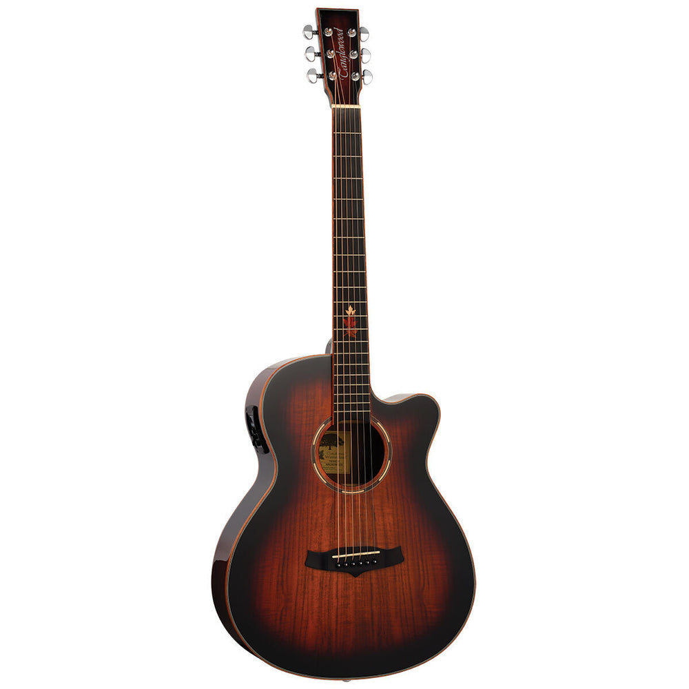 Tanglewood Winterleaf Pro Exotic Super Folk Cutaway Electric Koa-Buzz Music