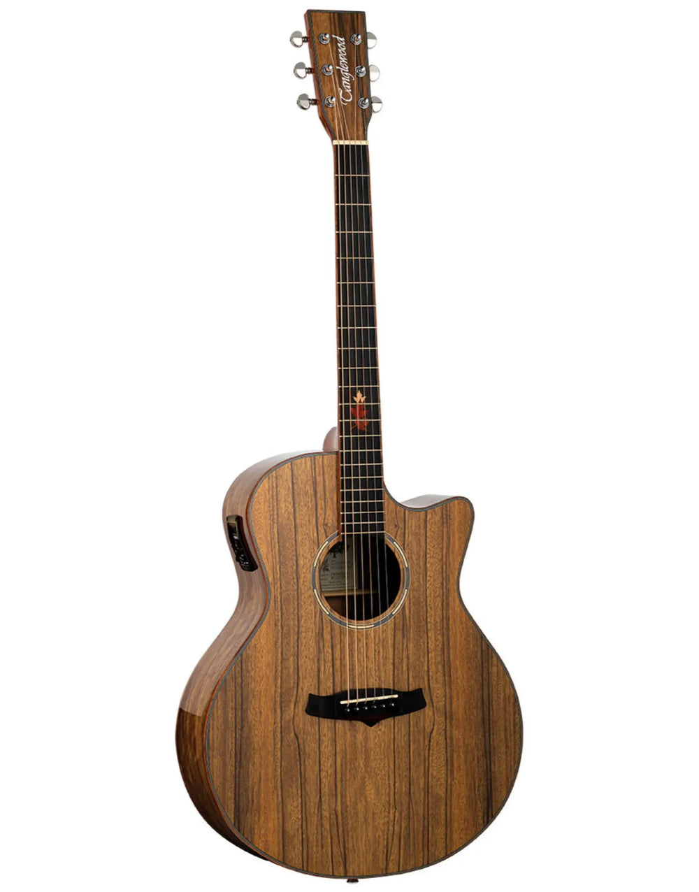 Tanglewood Winterleaf Exotic Superfolk Solid Top Venetian Cutaway Electric Guitar all Black Walnut-Buzz Music