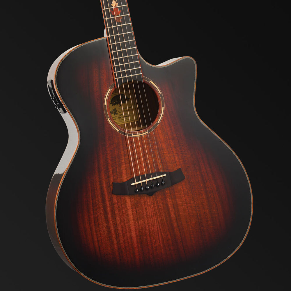 Tanglewood Winterleaf Pro Exotic Grand Auditorium Venetian Cutaway Electric Koa-Buzz Music