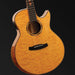 Tanglewood Winterleaf Exotic Solid Top Grand Auditorium Guitar with Florentine Cutaway and Arm Carve-Buzz Music