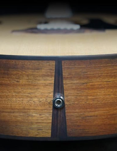 Fenech VT D78 Blackwood-Buzz Music