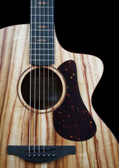 Fenech VTH GAc Grand Auditorium with Cutaway - All Solid Camphor Top Back & Sides with Pickup & Flight Case-Buzz Music