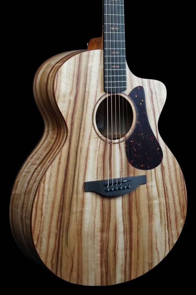 Fenech VTH GAc Grand Auditorium with Cutaway - All Solid Camphor Top Back & Sides with Pickup & Flight Case-Buzz Music