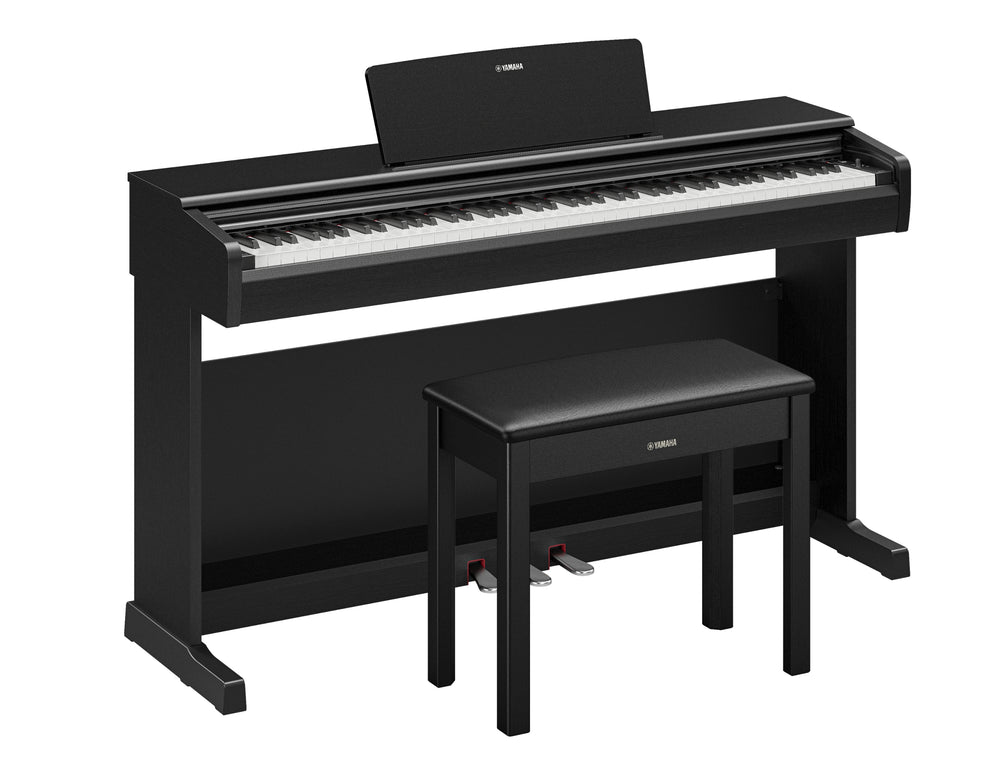 Yamaha YDP-146B Digital Piano With Bench - Black-Buzz Music