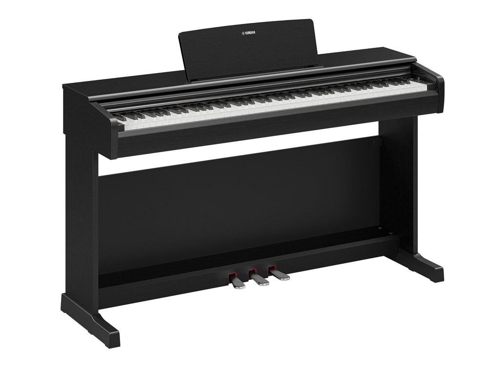 Yamaha YDP-146B Digital Piano With Bench - Black-Buzz Music