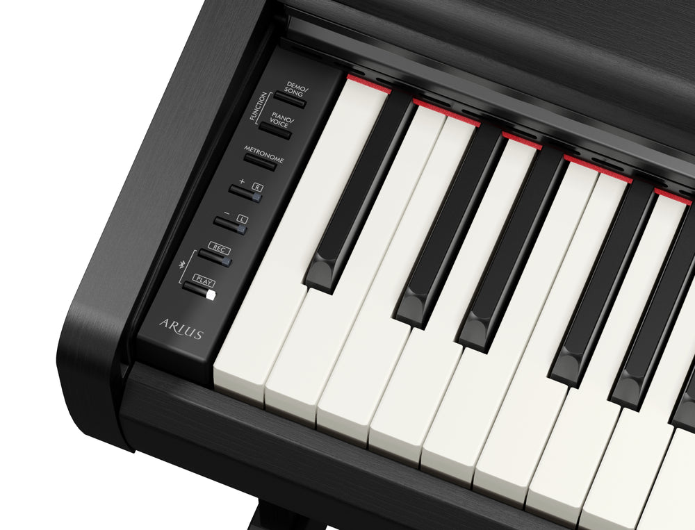 Yamaha YDP-146B Digital Piano With Bench - Black-Buzz Music