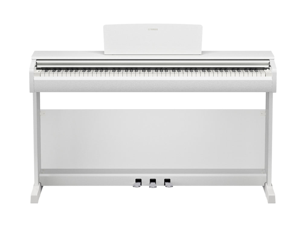 Yamaha YDP-146WH Digital Piano With Bench - White-Buzz Music