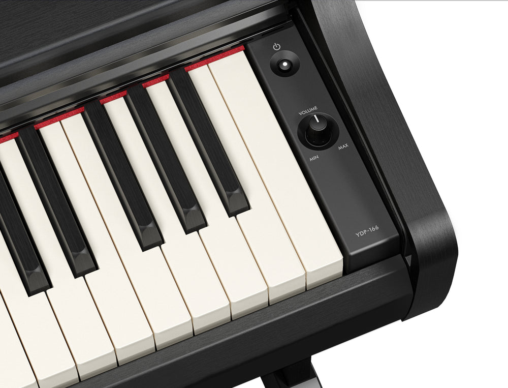 Yamaha YDP-166B Digital Piano With Bench - Black-Buzz Music