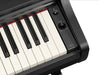 Yamaha YDP-166B Digital Piano With Bench - Black-Buzz Music