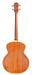 GUILD B-240E FRETLESS Acoustic Bass - Spruce Top, Mahogany Back & Sides - With Bag-Buzz Music