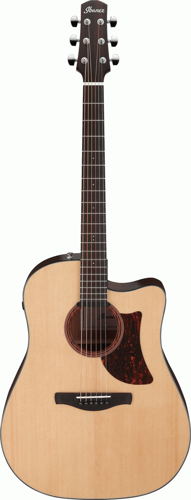 Ibanez AAD170CE LGS Acoustic Guitar-Buzz Music