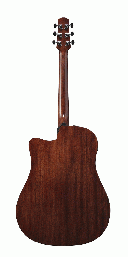 Ibanez AAD170CE LGS Acoustic Guitar-Buzz Music