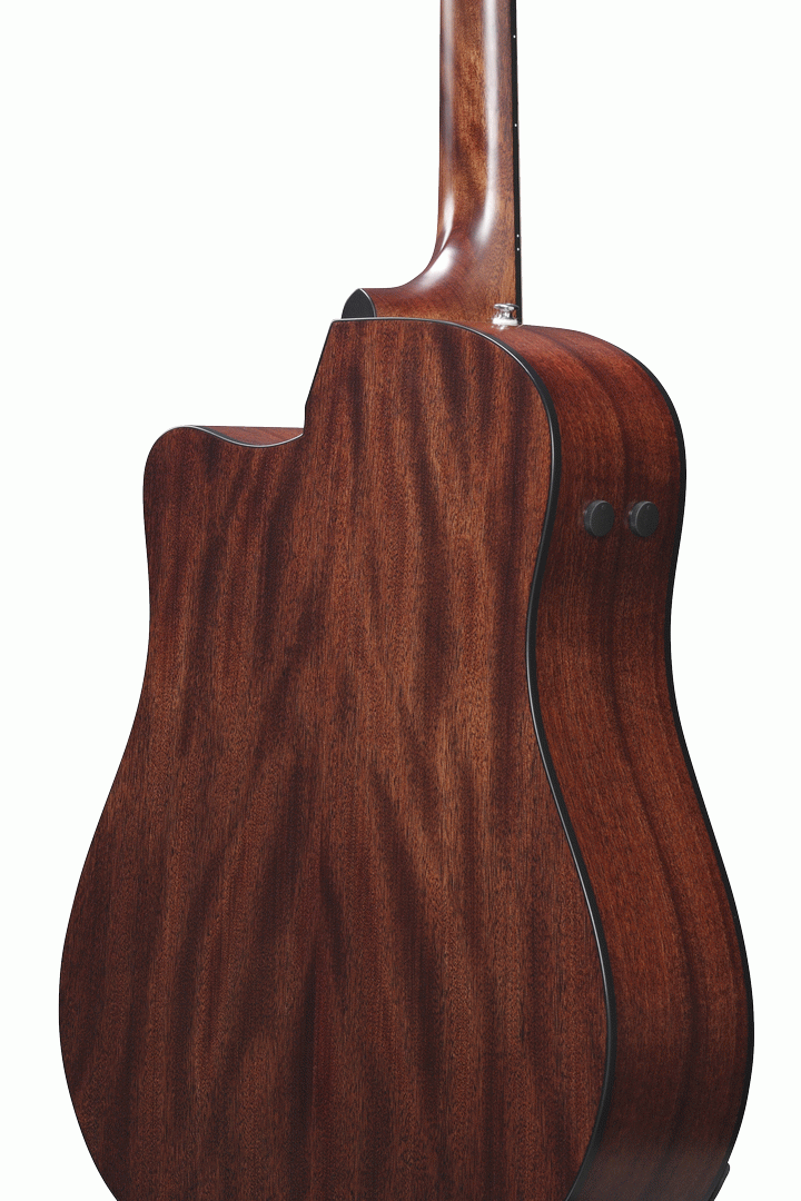 Ibanez AAD170CE LGS Acoustic Guitar-Buzz Music