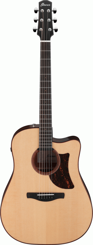 Ibanez AAD300CE LGS Acoustic Guitar-Buzz Music