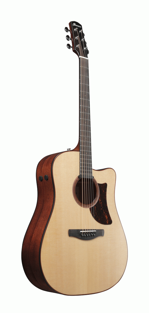 Ibanez AAD300CE LGS Acoustic Guitar-Buzz Music
