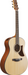 Ibanez AAM50OPN Acoustic Guitar Open Pore Natural-Buzz Music