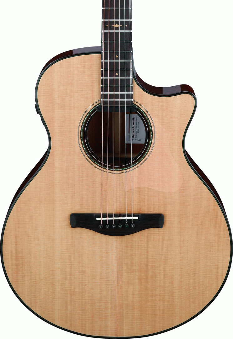 Ibanez AE410 LGS Acoustic Guitar-Buzz Music