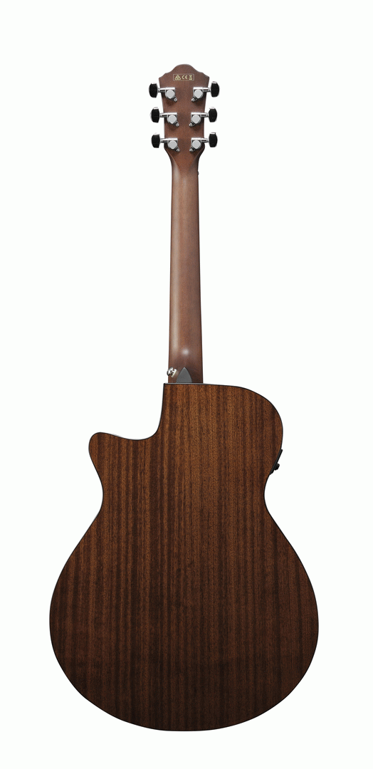 Ibanez AEG50 DHH Acoustic Guitar-Buzz Music