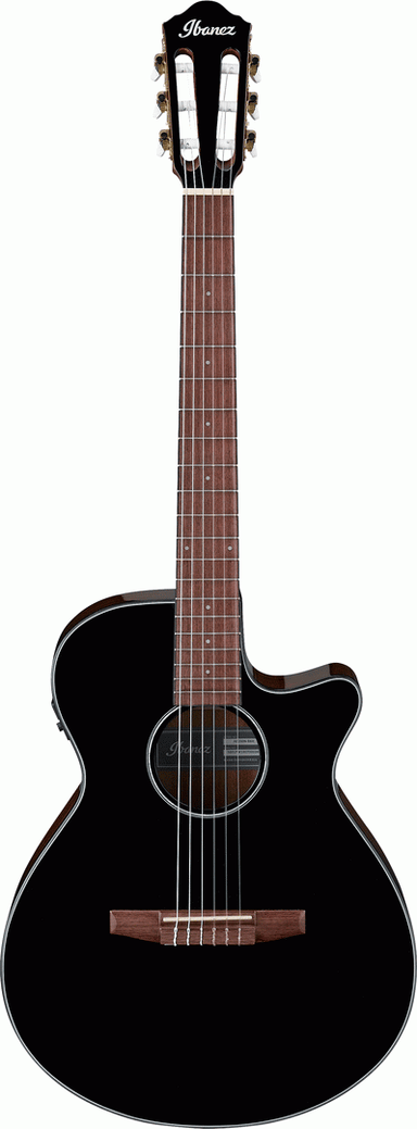 Ibanez AEG50N BKH Acoustic Guitar-Buzz Music
