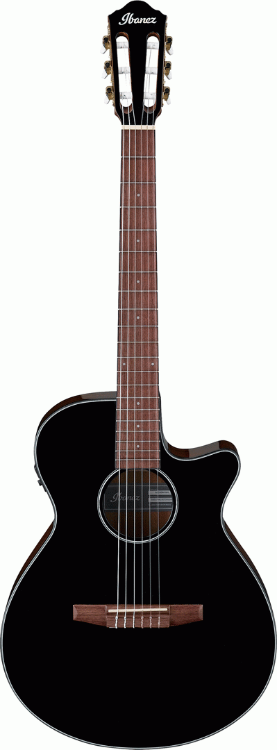 Ibanez AEG50N BKH Acoustic Guitar-Buzz Music