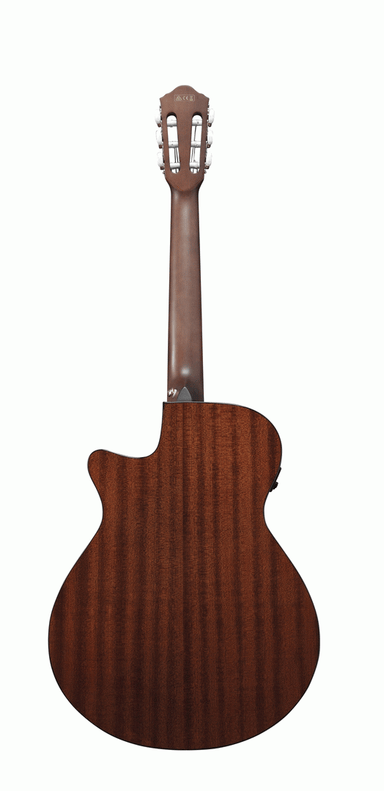 Ibanez AEG50N BKH Acoustic Guitar-Buzz Music