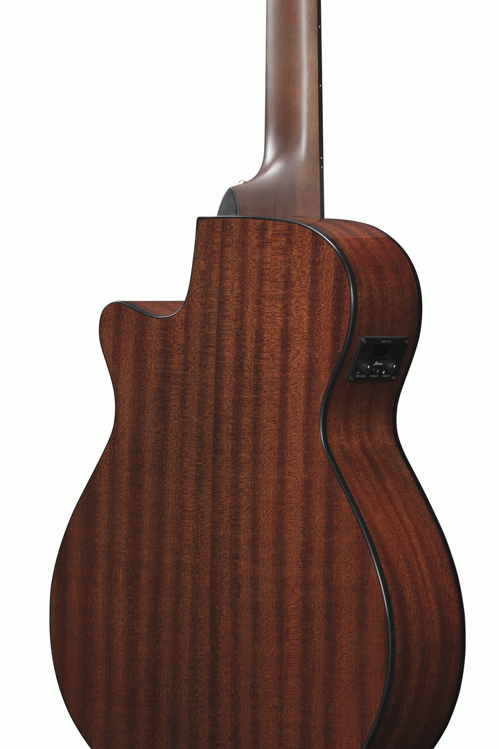 Ibanez AEG50N BKH Acoustic Guitar-Buzz Music