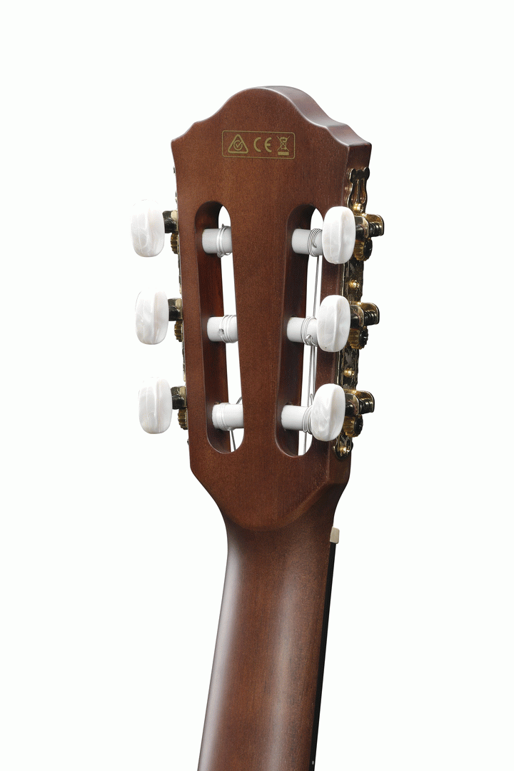 Ibanez AEG50N BKH Acoustic Guitar-Buzz Music