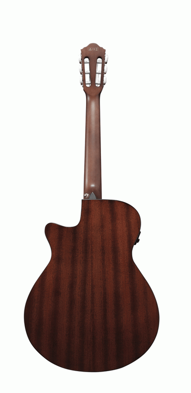 Ibanez AEG50N NT Acoustic Guitar-Buzz Music