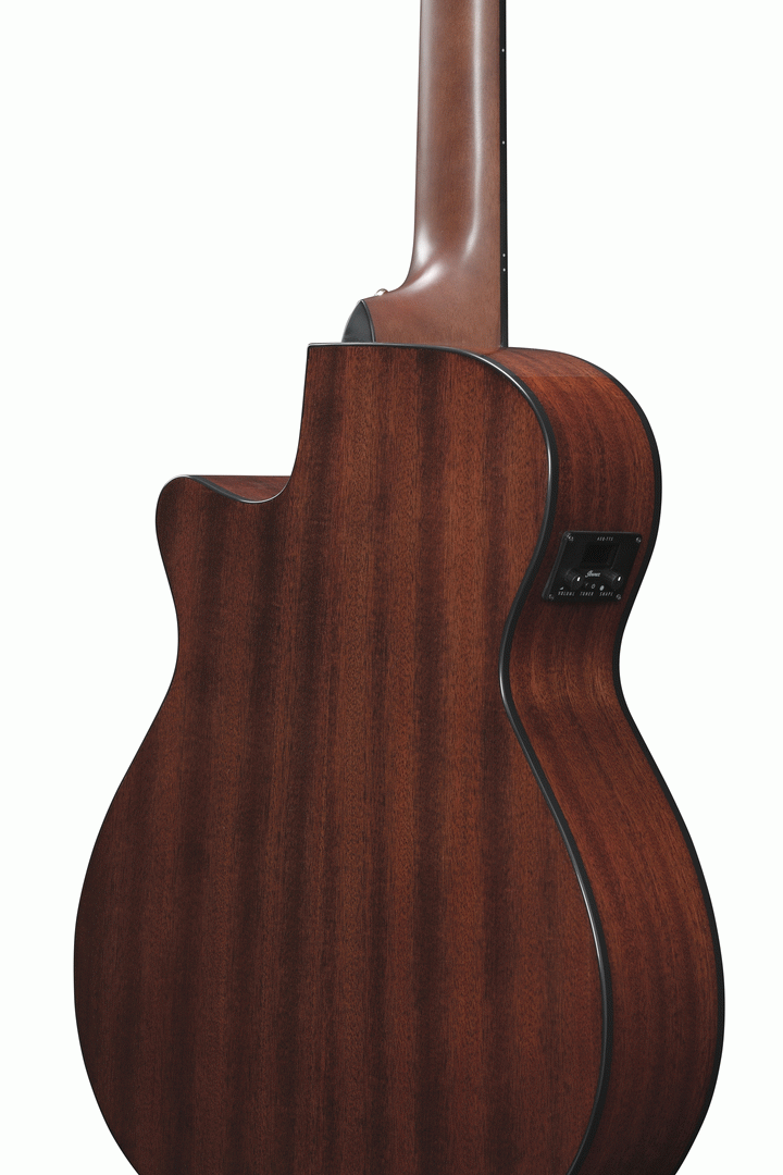 Ibanez AEG50N NT Acoustic Guitar-Buzz Music