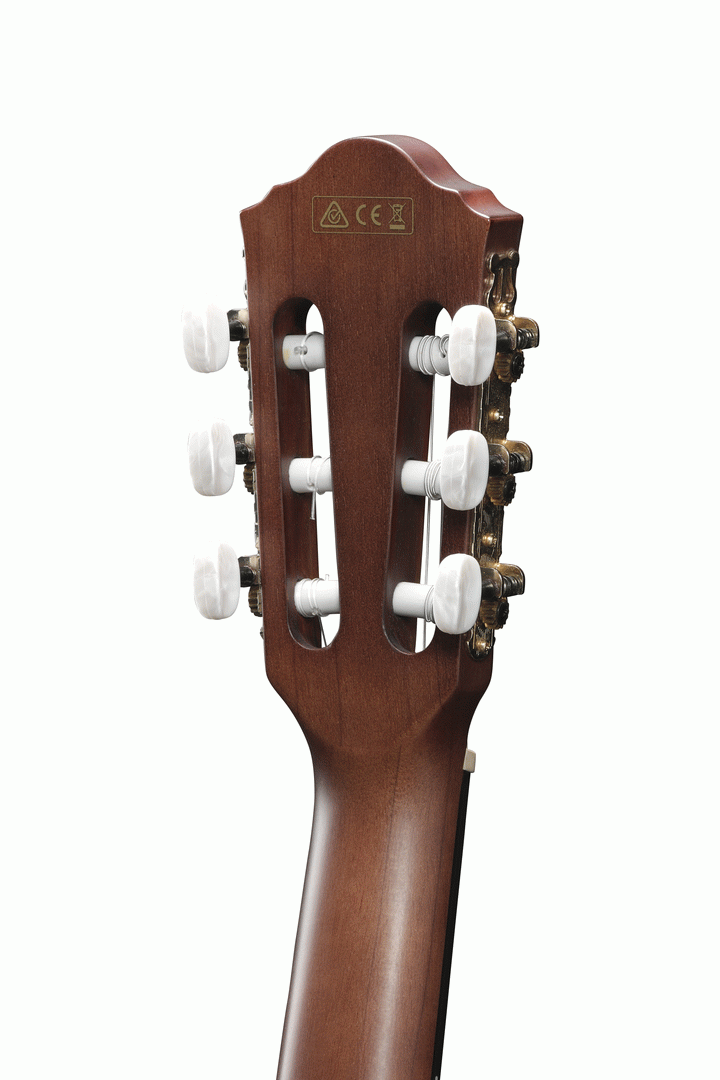 Ibanez AEG50N NT Acoustic Guitar-Buzz Music