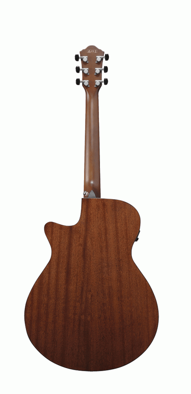 Ibanez AEG70 TCH Electric Guitar-Buzz Music