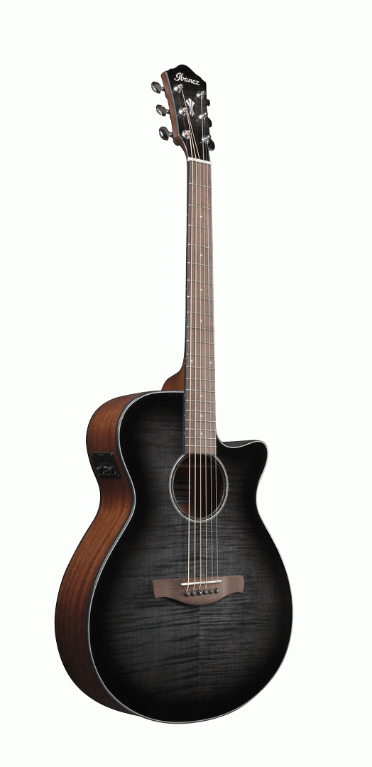 Ibanez AEG70 TCH Electric Guitar-Buzz Music