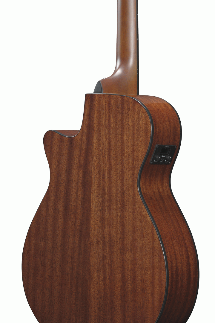 Ibanez AEG70 TCH Electric Guitar-Buzz Music