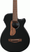 Ibanez AEGB24E BKH Acoustic Guitar-Buzz Music