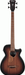 Ibanez AEGB24E MHS Acoustic Guitar-Buzz Music