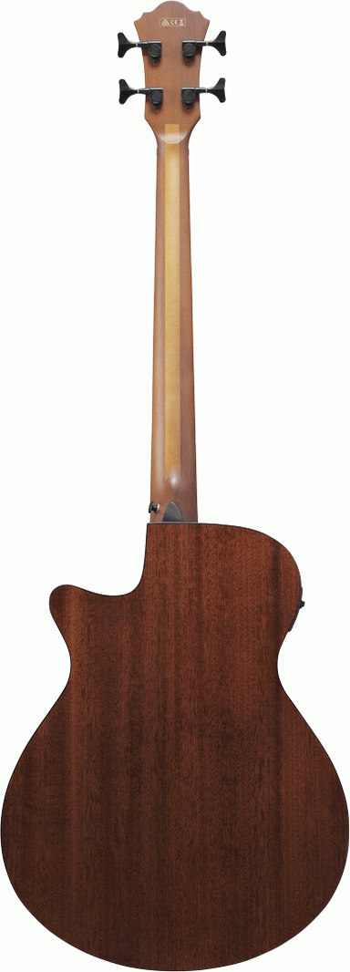 Ibanez AEGB24E MHS Acoustic Guitar-Buzz Music