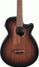 Ibanez AEGB24E MHS Acoustic Guitar-Buzz Music