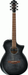 Ibanez AEWC400 TKS Electric Guitar-Buzz Music