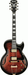Ibanez AG95QA DBS Electric Guitar-Buzz Music