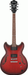 Ibanez AS53 SRF Electric Guitar-Buzz Music