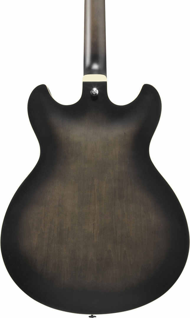 Ibanez AS53 TKF Electric Guitar-Buzz Music