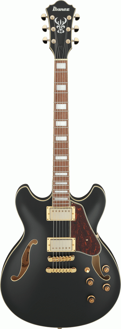 Ibanez AS73G BKF Electric Guitar-Buzz Music